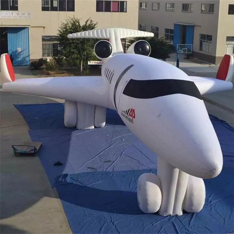 台江充气飞机气模